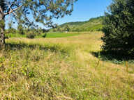 PROPRIETE sur 3,7 hectares — photo 3