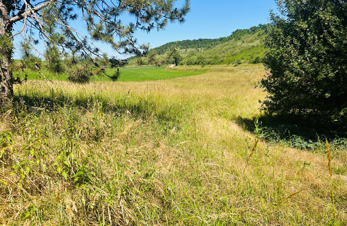 PROPRIETE sur 3,7 hectares — photo 3
