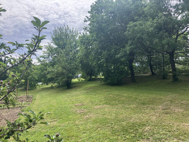 Terrain non viabilisé au calme — photo du bien