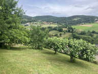 Terrain non viabilisé au calme — photo 2