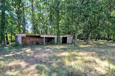 Terrain  231000 €