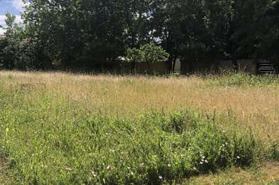 Terrain  75000 €