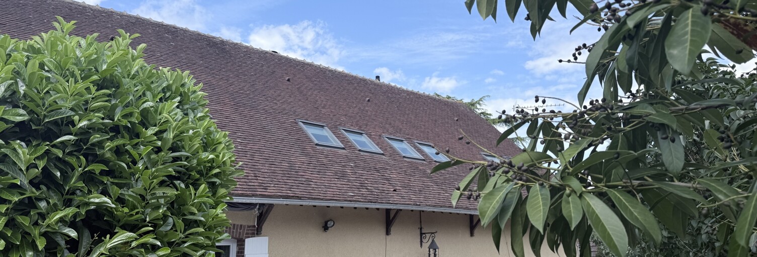 Maison 7 Pièces 203 m² à vendre à Montholon (89710)