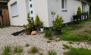 Maison 2 Pièces 50 m² à vendre à Fécamp (76400)