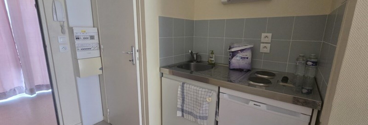 Appartement 1 Pièce 26 m² à vendre à Villedieu-sur-Indre (36320)