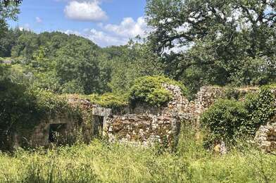 Maison  20000 €