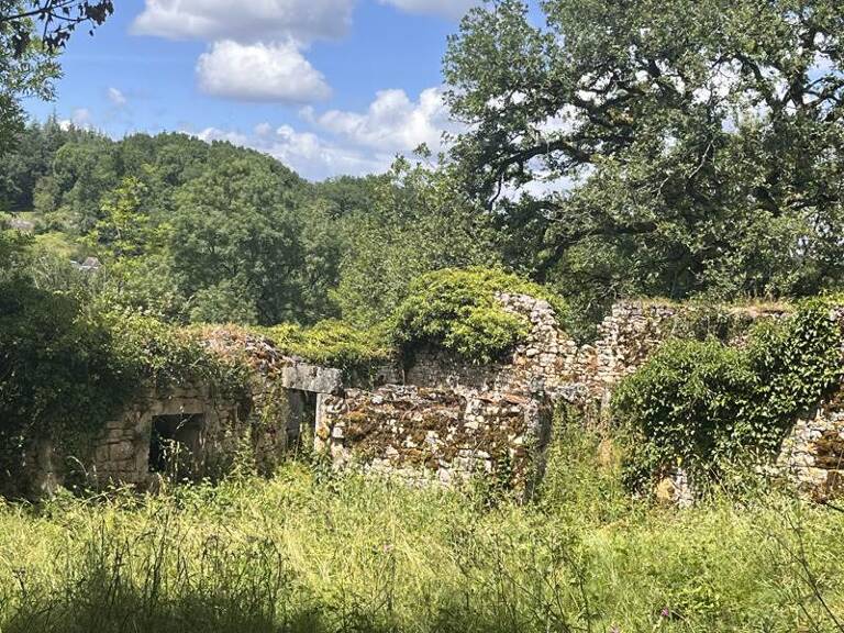 Maison en pierre de 0 pièces principales — photo 1