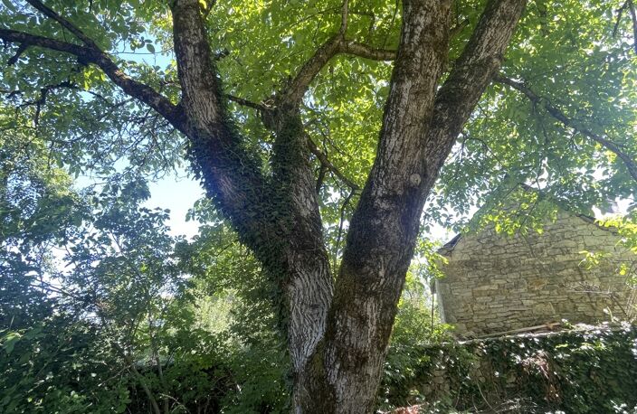 Vente Terrain à bâtir 655 m&sup2; — photo 4