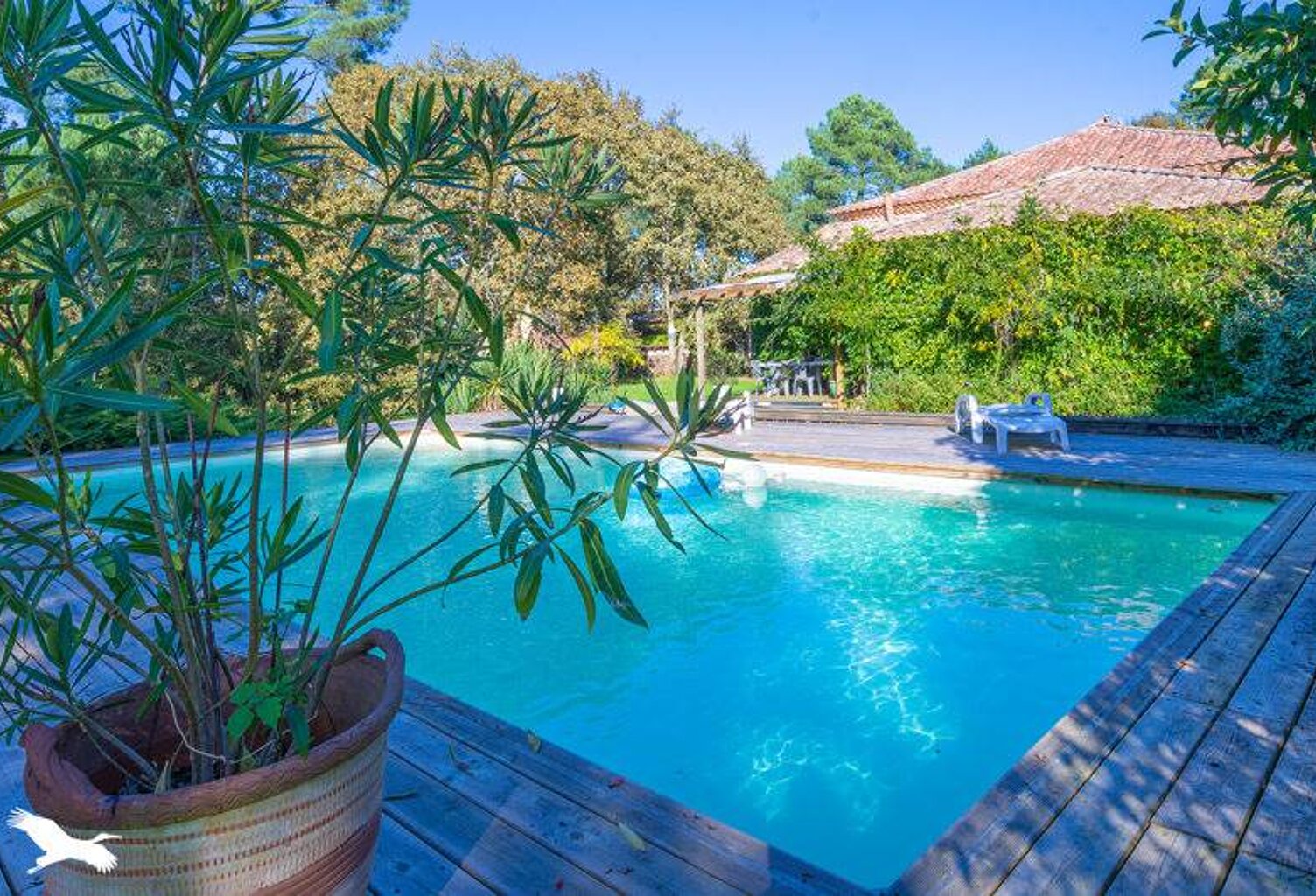 Vente maison à construire 339 m² Saugnac-et-Muret (40410) — photo 1