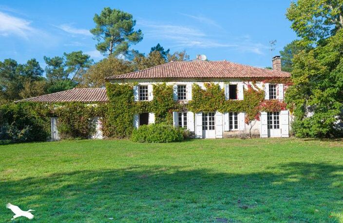 Vente maison à construire 339 m² Saugnac-et-Muret (40410) — photo 4