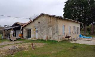 Photo N° 2