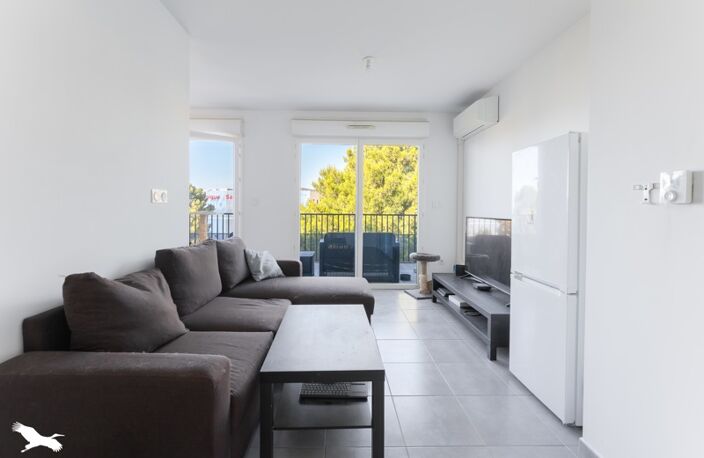 Appartement de 2 pièces principales — photo 4