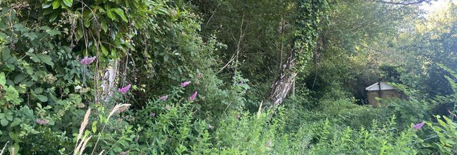 Terrain  5433 m² à vendre à Boisse-Penchot (12300)
