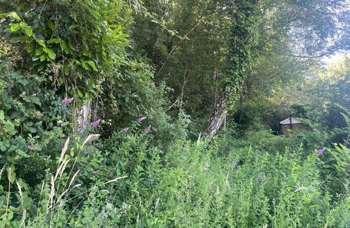 Terrain à bâtir de 0 pièces principales — photo 3