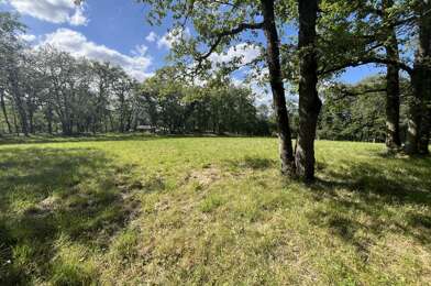 Terrain  43900 €