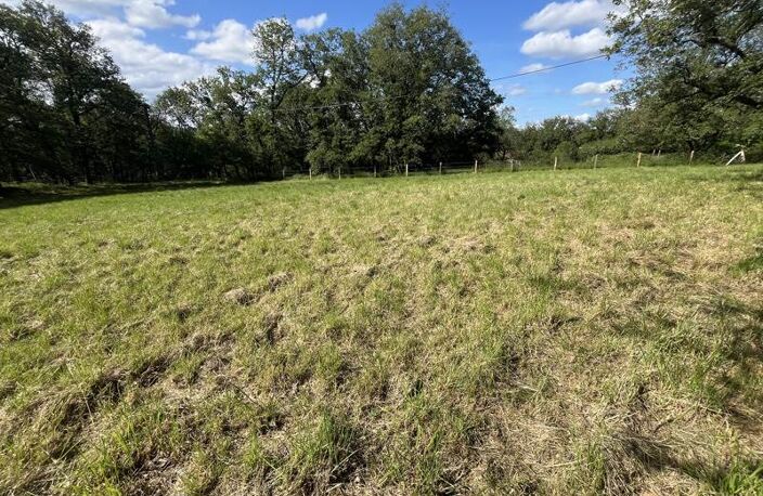 Vente terrain  3242 m² Parisot (82160) — photo 4
