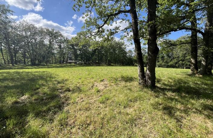 Vente terrain  3242 m² Parisot (82160) — photo 5