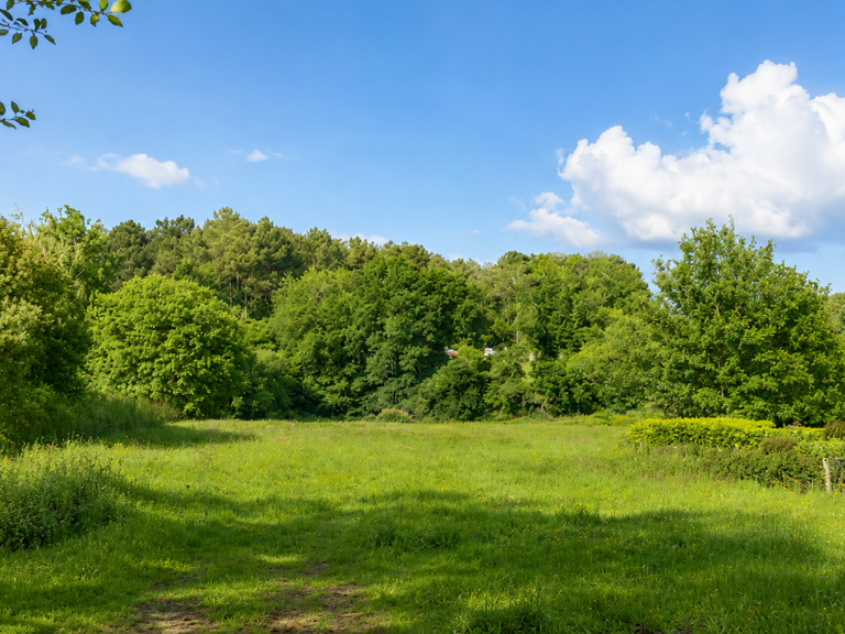 Vente Terrain à bâtir 1 494 m&sup2; — photo 1