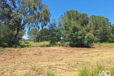Terrain  305000 €