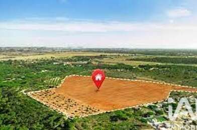 Terrain  30500 €