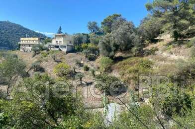 Terrain  242006 €