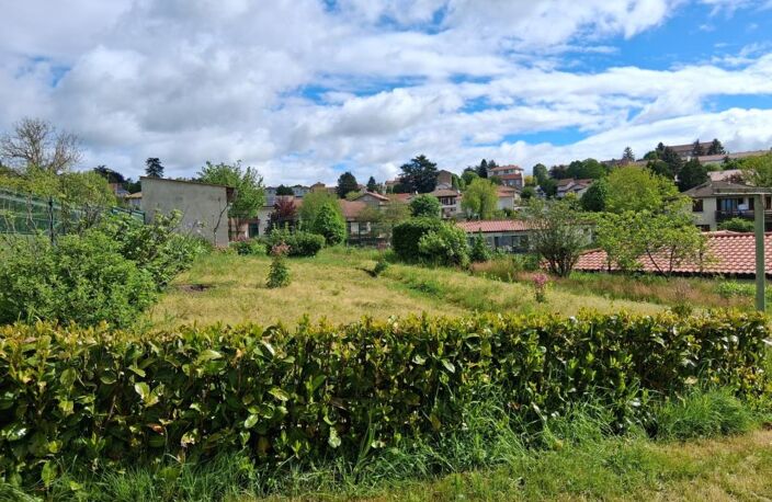 Maison 3 chambres, pièce annexe, vue dégagée, sans vis-à-vis à Saint-Didier-en-Velay — photo 3