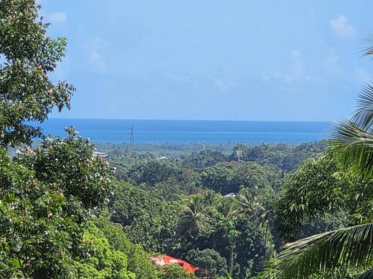 Très belle propriété VUE MER avec dépendances et piscine PETIT BOURG (971) — photo 1