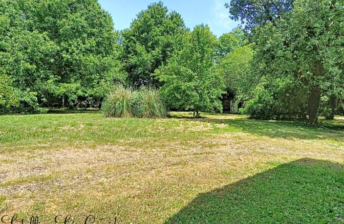 Propriété à vendre 5 pièces — photo 4
