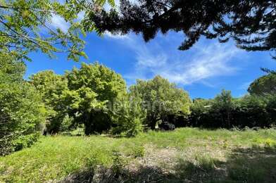 Terrain  99000 €