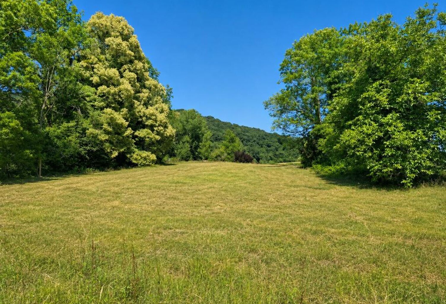 Terrain À Vendre — photo 1