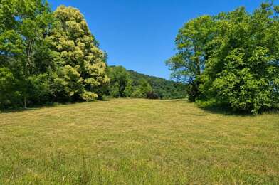 Terrain  150000 €