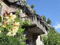 Maison — photo 2