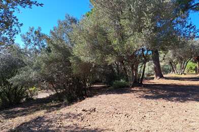 Terrain  220000 €