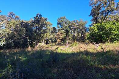 Terrain  640000 €