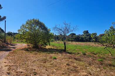 Terrain  253000 €