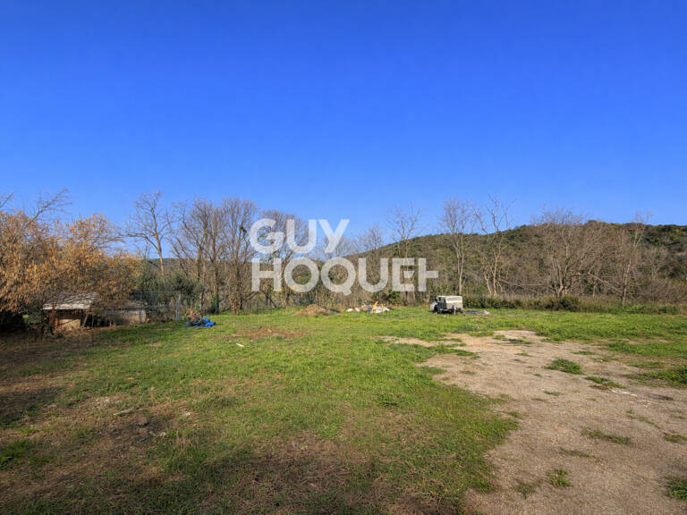 terrain — photo 1