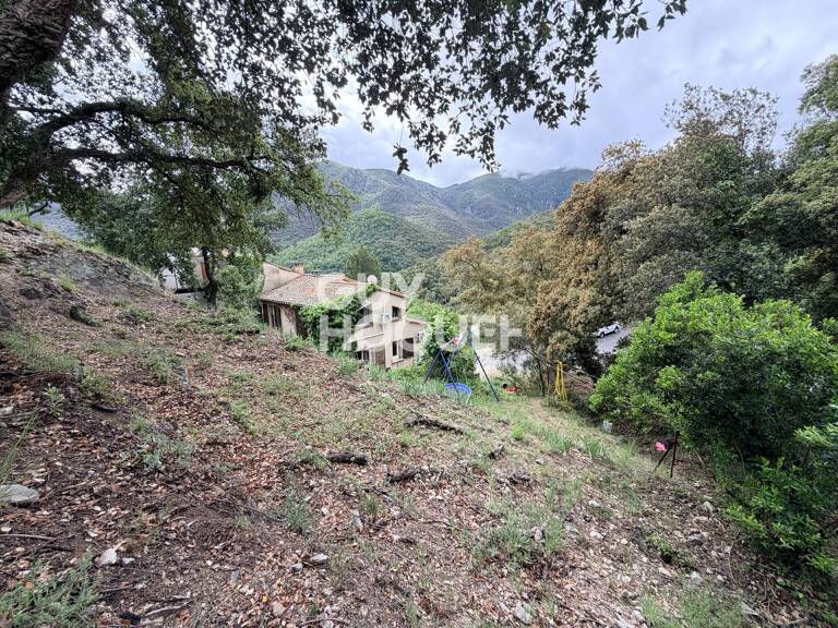 maison — photo 1