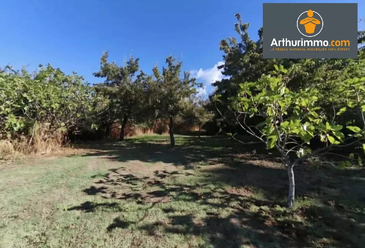 Terrain 985 m2 — photo 1