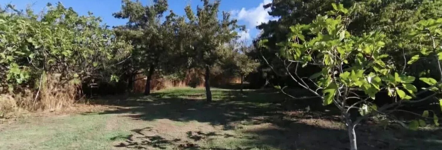 Terrain  985 m² à vendre à Peri (20167)