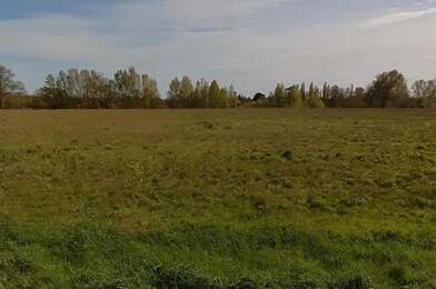 Terrain  35000 €