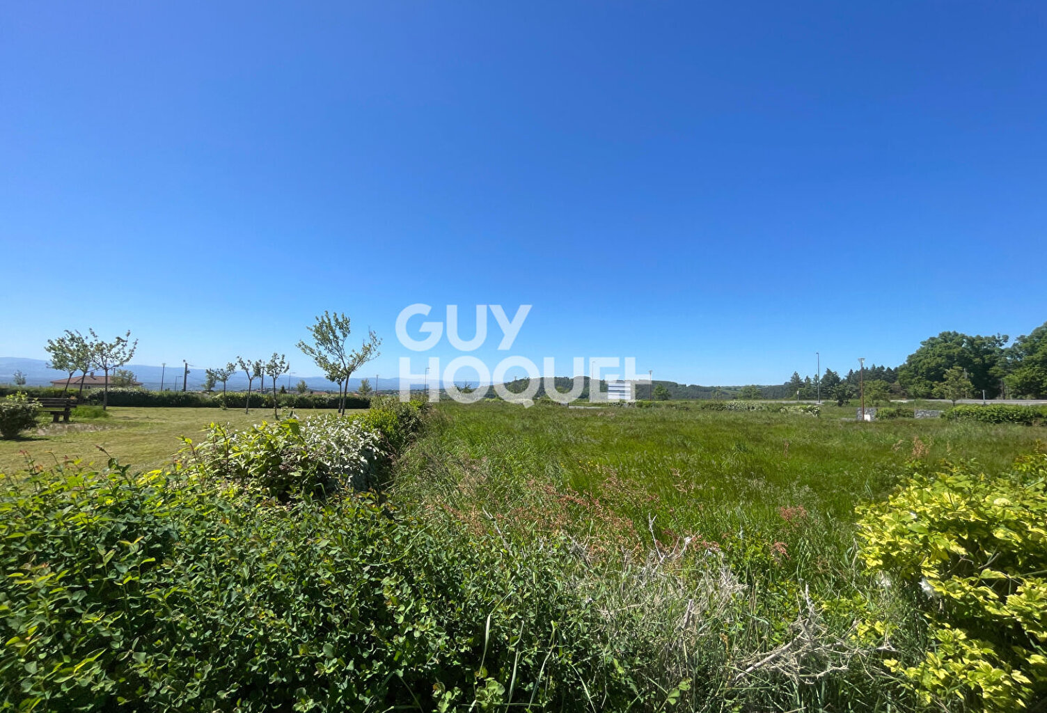terrain — photo 1