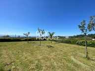 terrain — photo 4