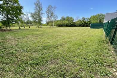 Terrain  64000 €