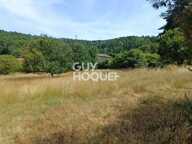 terrain — photo 3