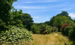 Terrain  982 m² à vendre à Persquen (56160)