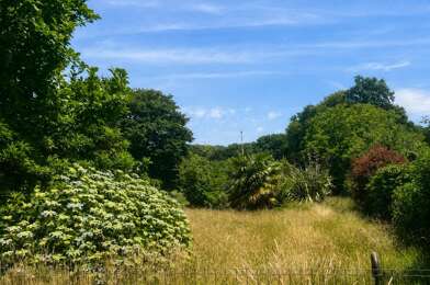Terrain  17000 €