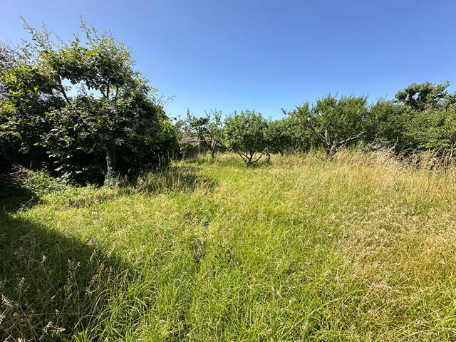 Terrain à bâtir de 636 m² - Hameau de LOYES - VILLIEU-LOYES-MOLLON — photo du bien