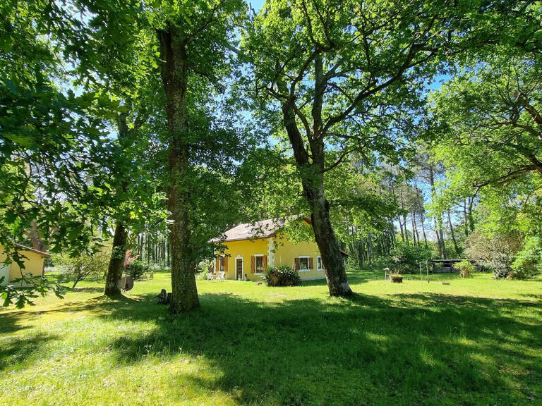 Maison de charme au coeur de la forêt landaise   Lévignacq — photo 1