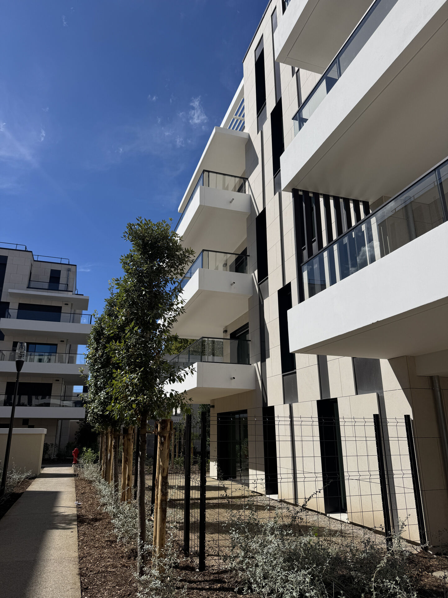 Appartement  T2 à louer Marseille 8eme 13008