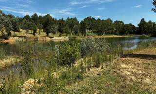 Terrain  40472 m² à vendre à Saint-Papoul (11400)